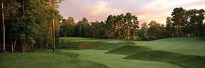 Golf Minnesota.  Minnesota golf resorts.