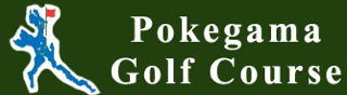 Golf Minnesota.  Minnesota golf info.