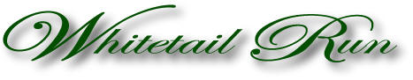 Golf Minnesota.  Minnesota golf info.